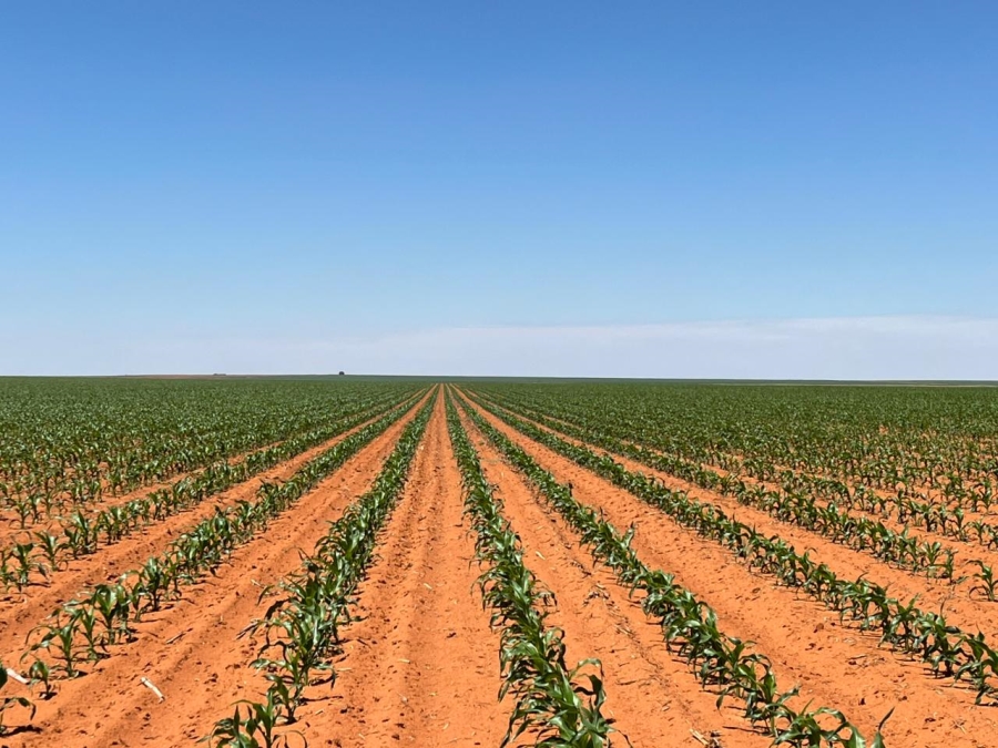 12 Bedroom Property for Sale in Bloemfontein Rural Free State